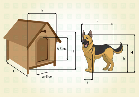 Будка для собаки своими руками: 57 фото создания прочного дома для Вашего питомца!